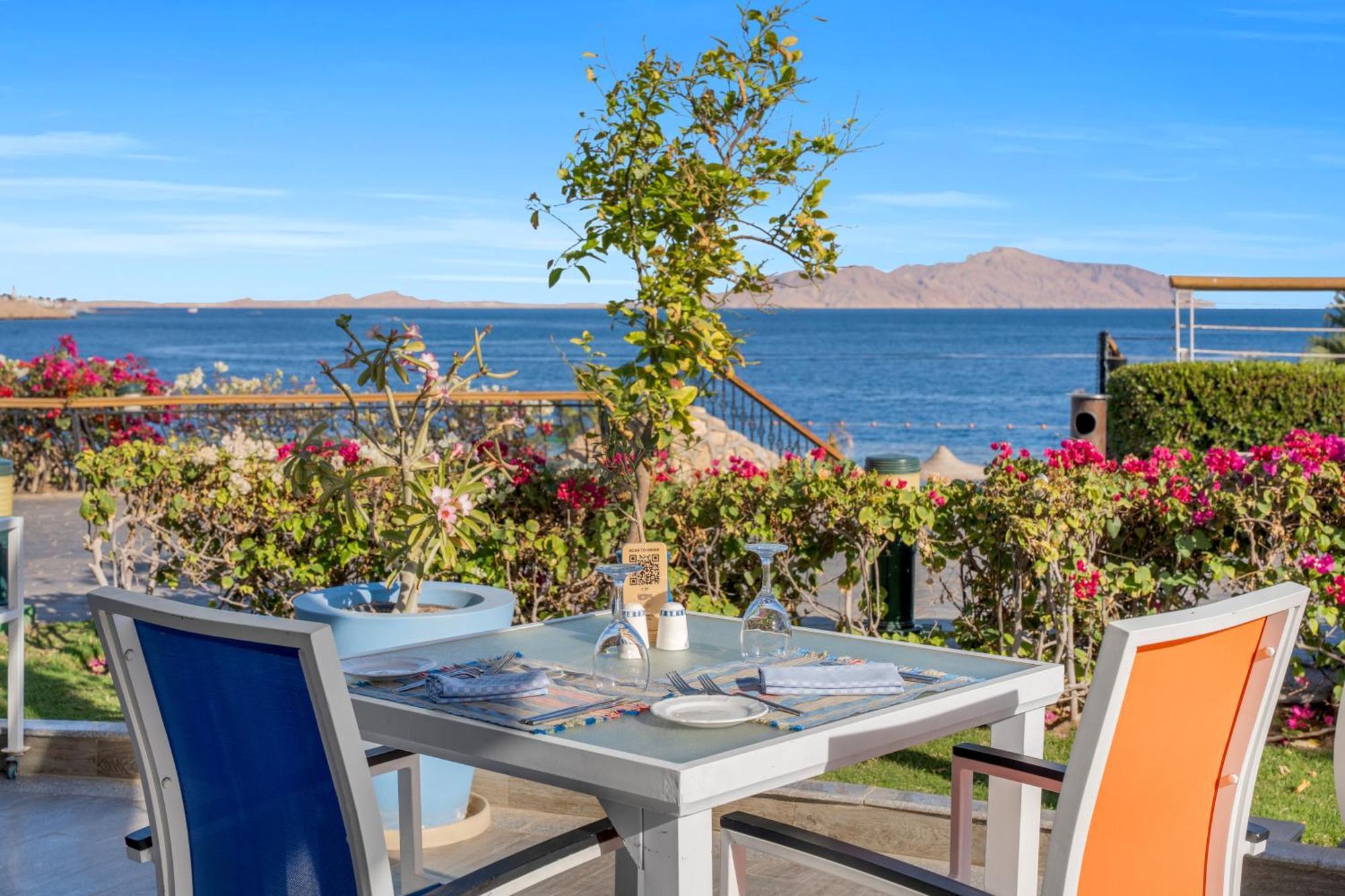 Royal Savoy Sheikh (adults Only) Шарм-эль-Шейх